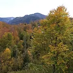 アパート Chill&sleep バート・イシュル