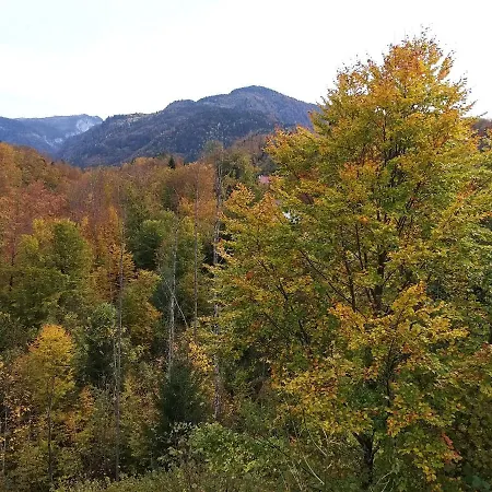 Lägenhet Chill&sleep Bad Ischl