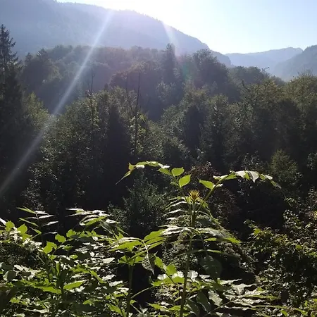 Lägenhet Chill&sleep *