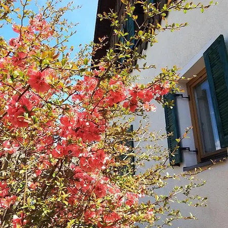 Chill&sleep Appartamento Bad Ischl