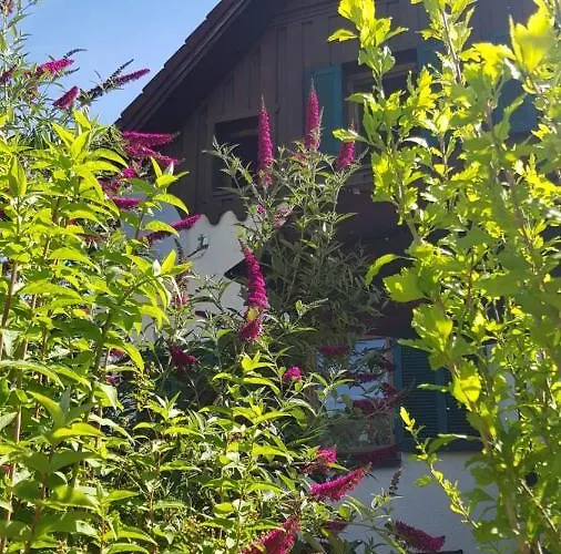 Chill&sleep * 巴德伊舍