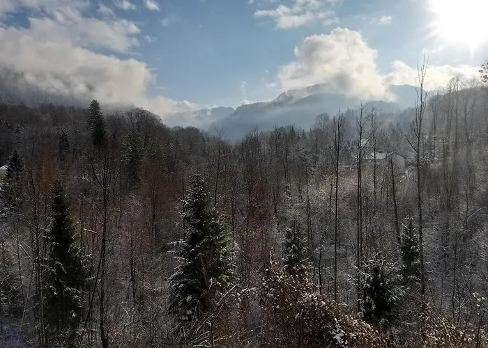 Διαμέρισμα Chill&sleep Bad Ischl