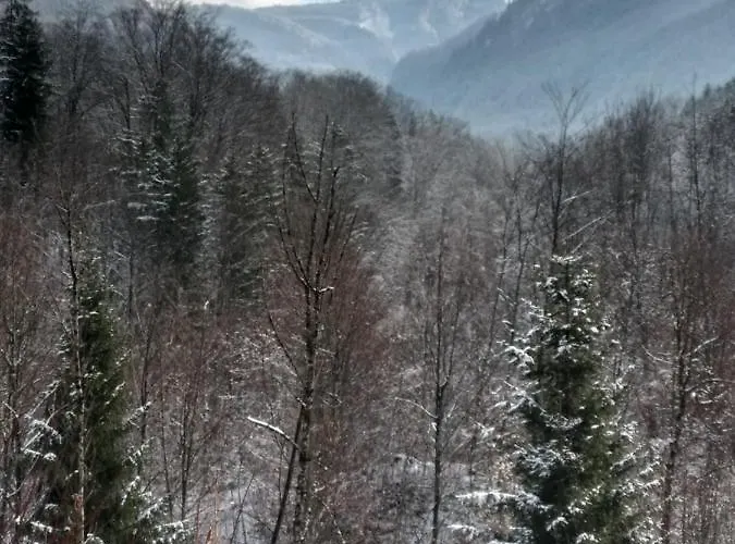 Lejlighed Chill&sleep