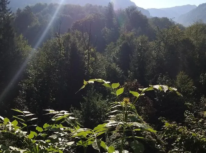 شقة Chill&sleep *