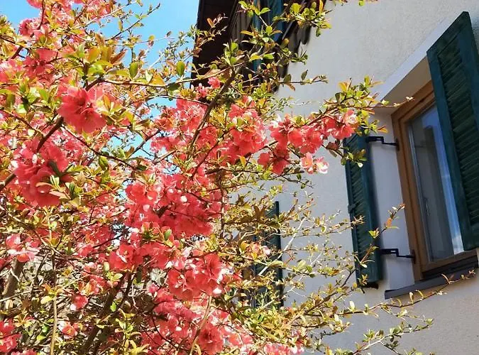 Chill&sleep Lejlighed Bad Ischl