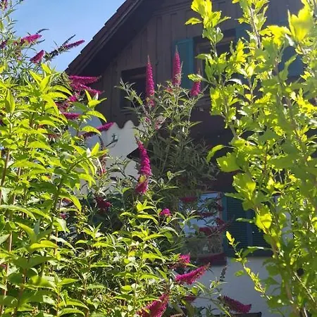 Chill&sleep * Бад-Ишль