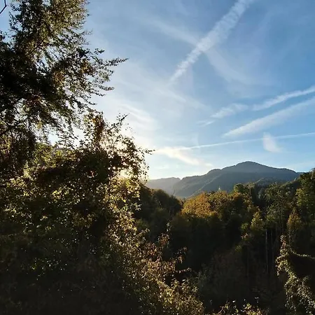 Chill&sleep Апартаменты *