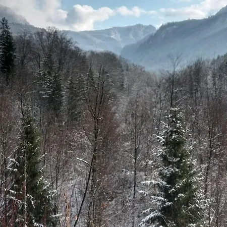 Апартаменты Chill&sleep